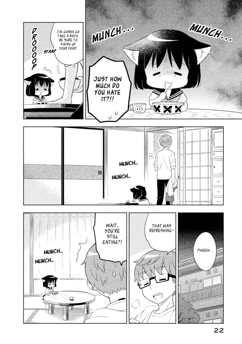 Neko No Kohana 31 8