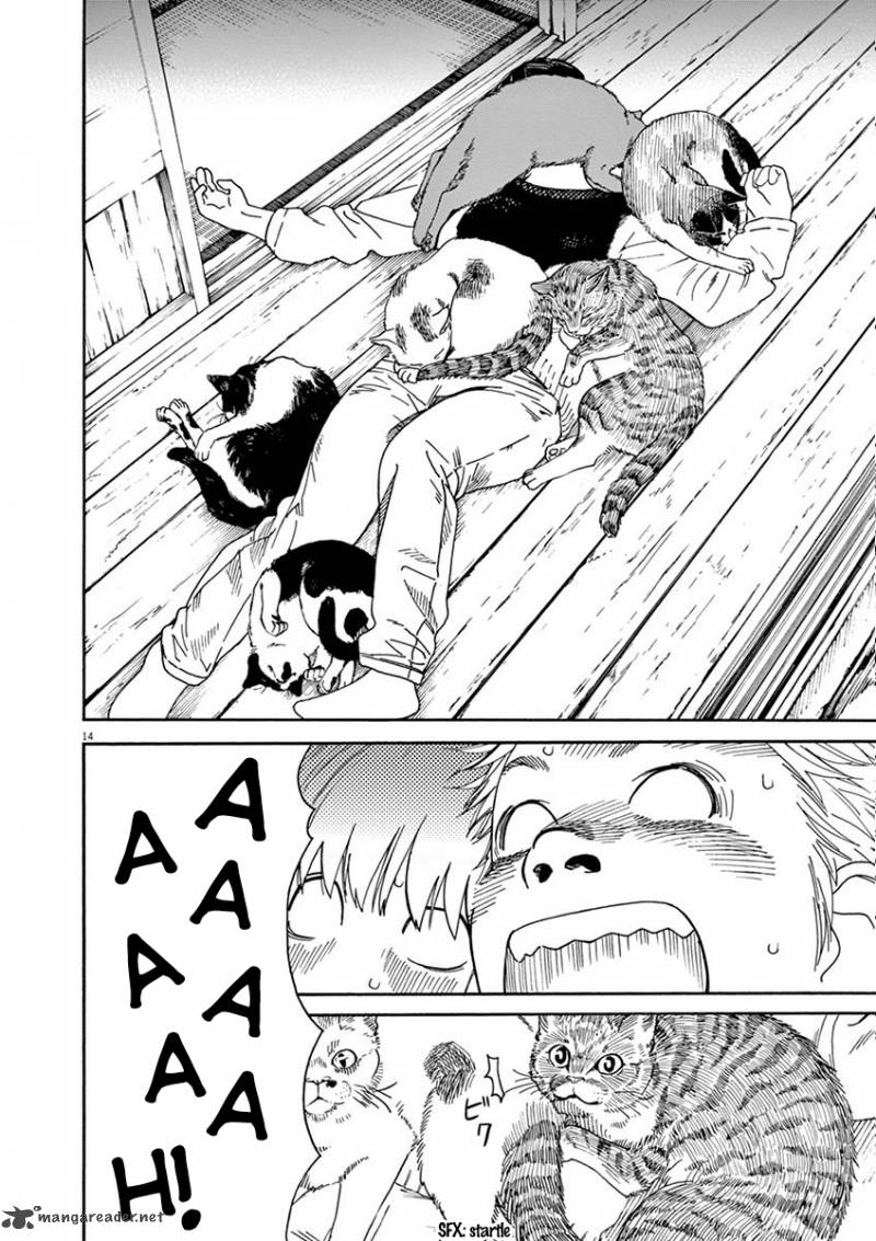 Neko No Otera No Chion San 5 15