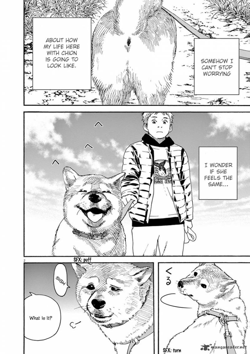 Neko No Otera No Chion San 5 3