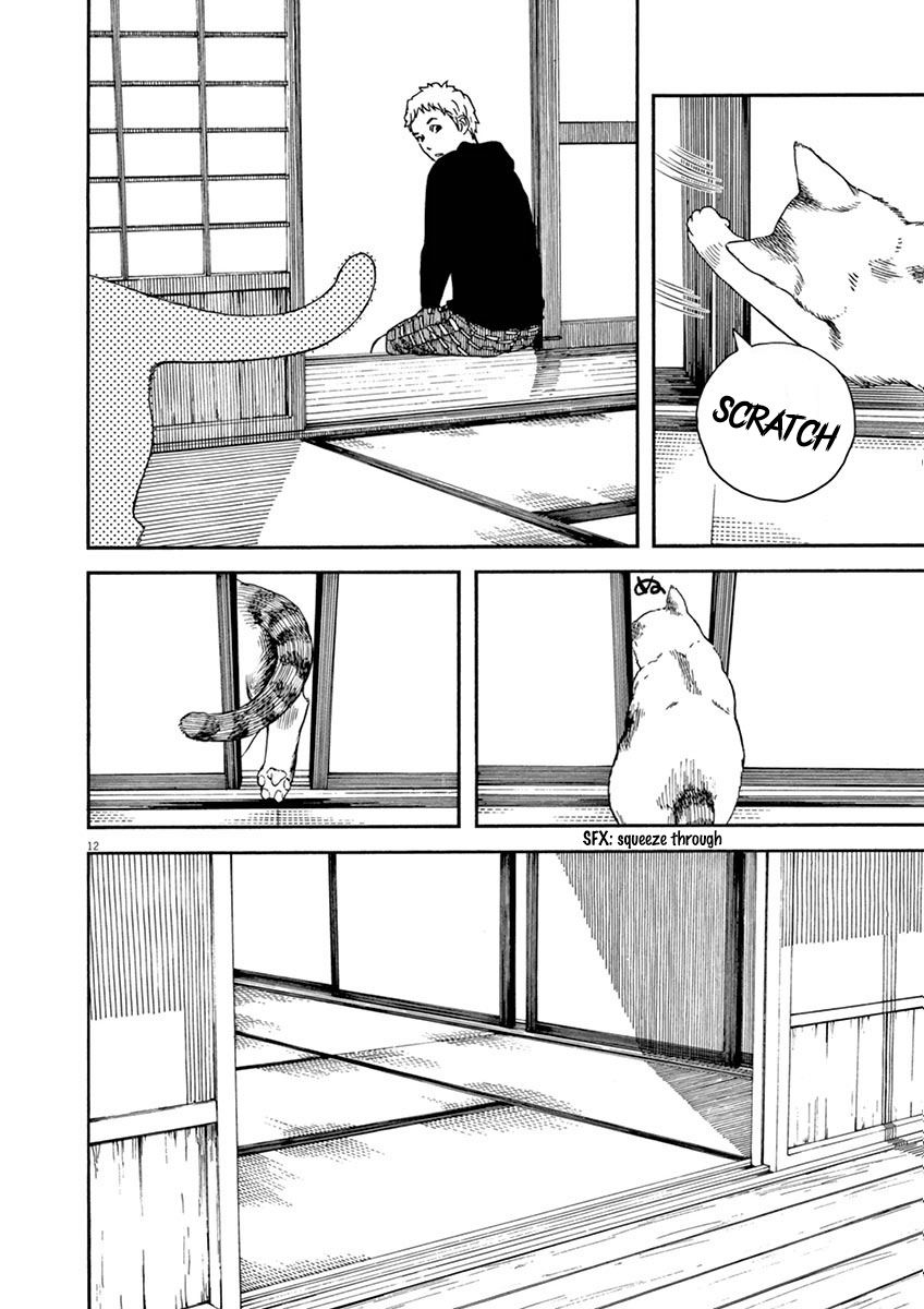 Neko No Otera No Chion San 6 12