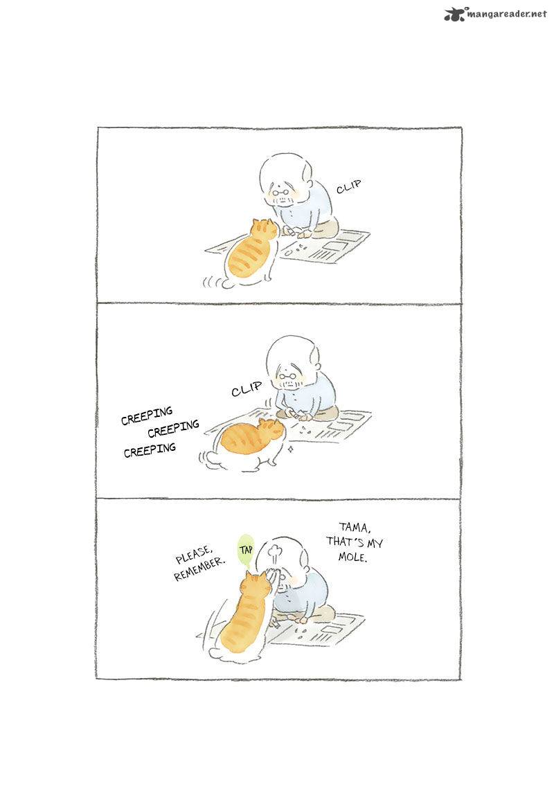 Neko To JII Chan 1 7