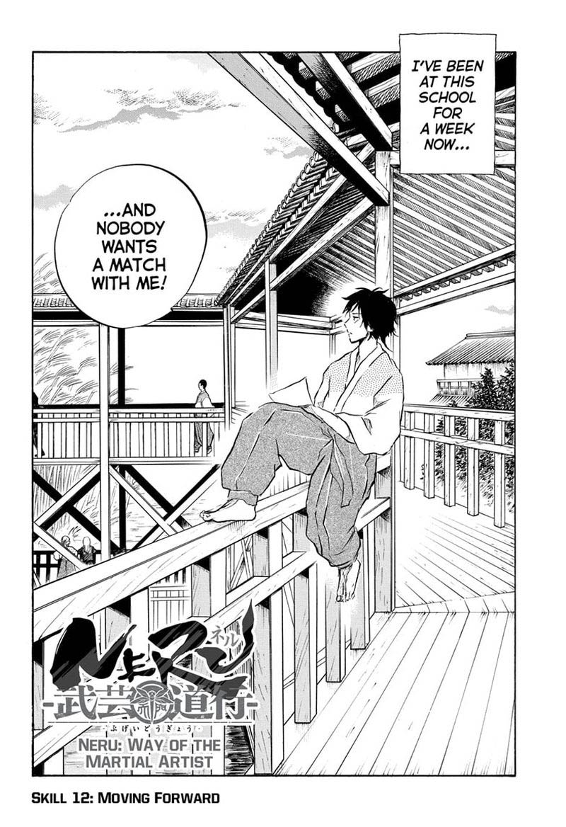 Neru Way Of The Martial Artist 12 2
