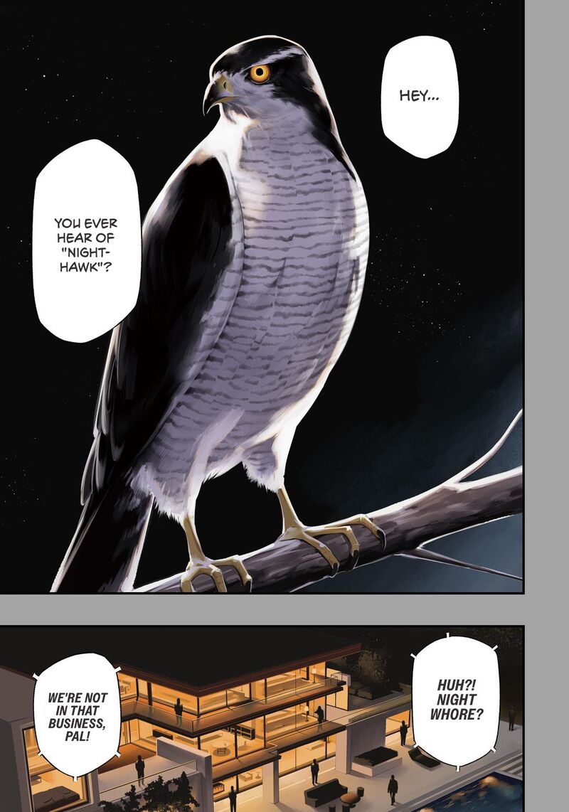 Nighthawk Returns 1 1