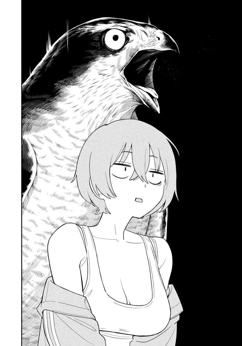 Nighthawk Returns 1 29