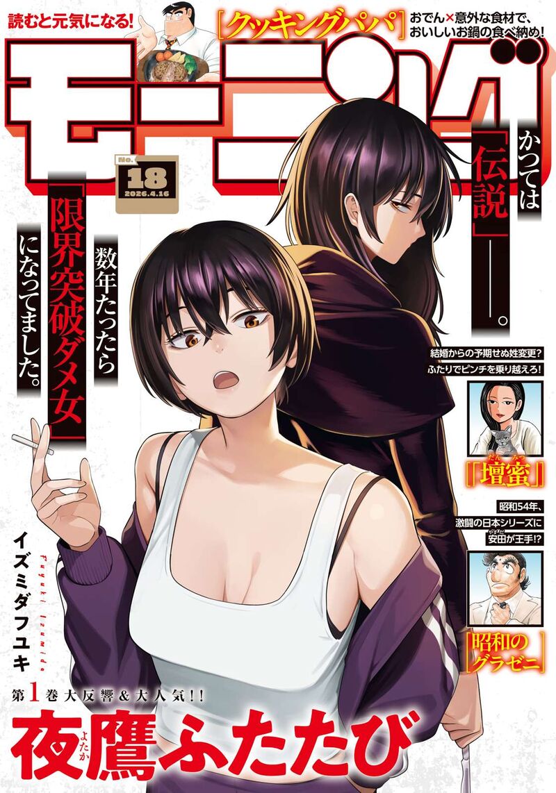 Nighthawk Returns 15 1