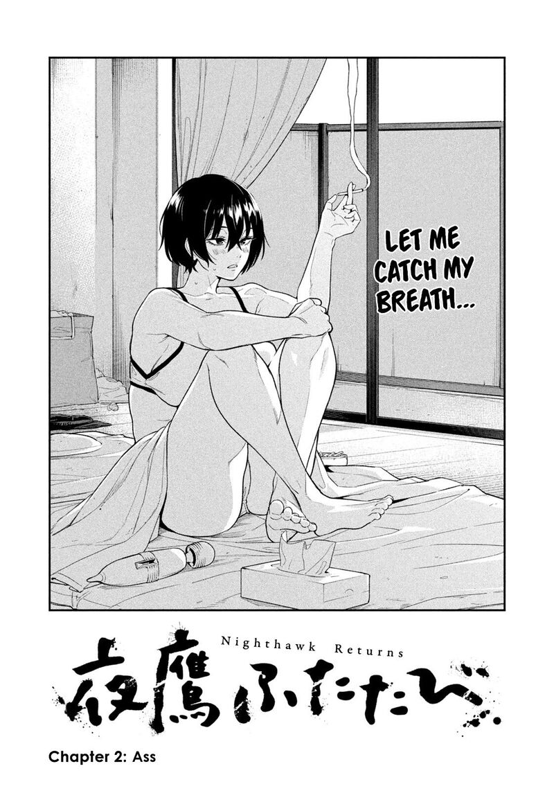 Nighthawk Returns 2 2
