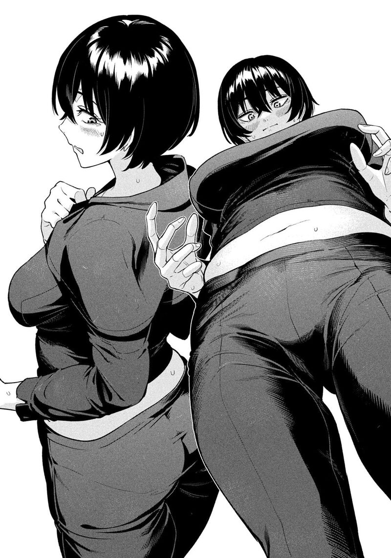 Nighthawk Returns 2 8