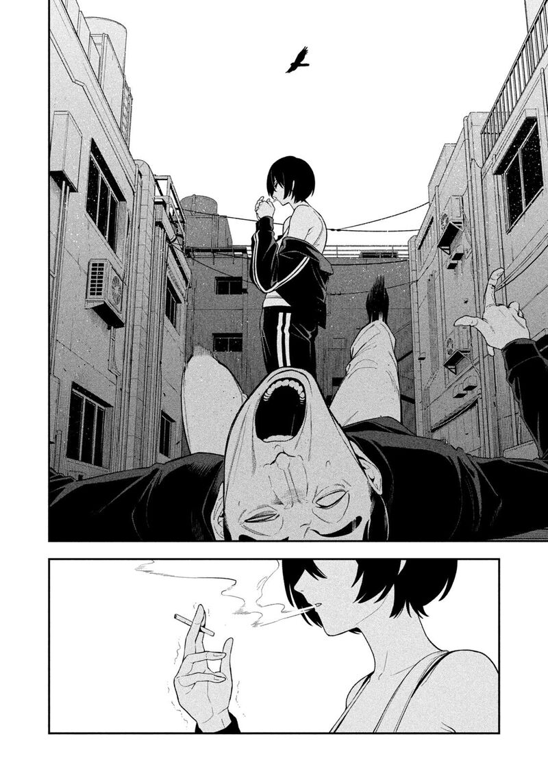 Nighthawk Returns 6 14