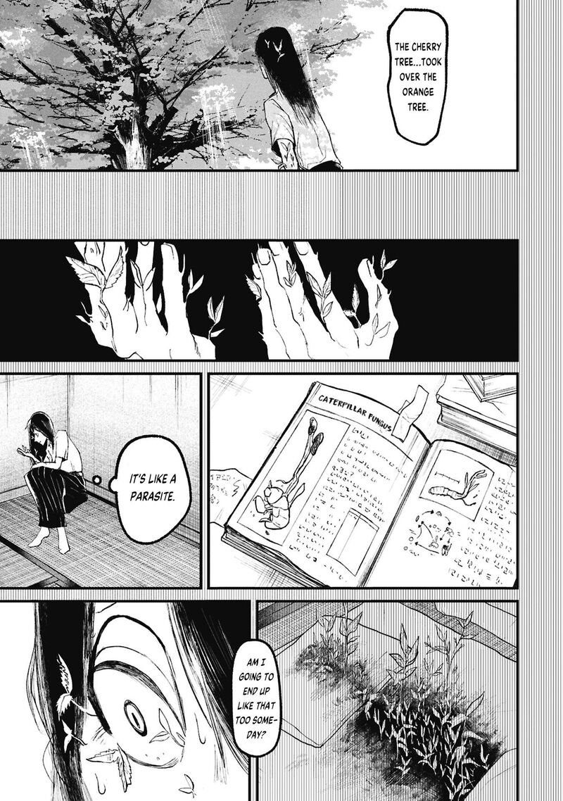 Nikubami Honegishimi 16b 6