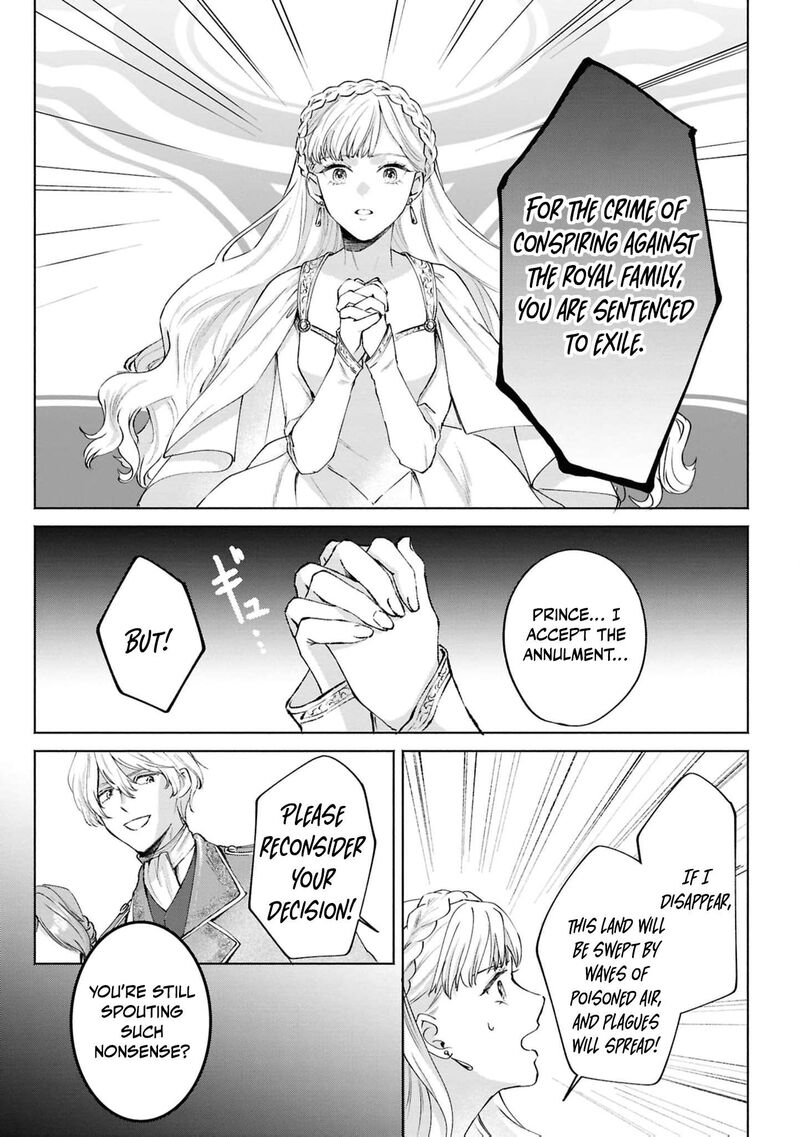 Nise Seijo Da To Iwaremashita Ga Douyara Watashi Ga Honmono No You Desu Ka 17 10