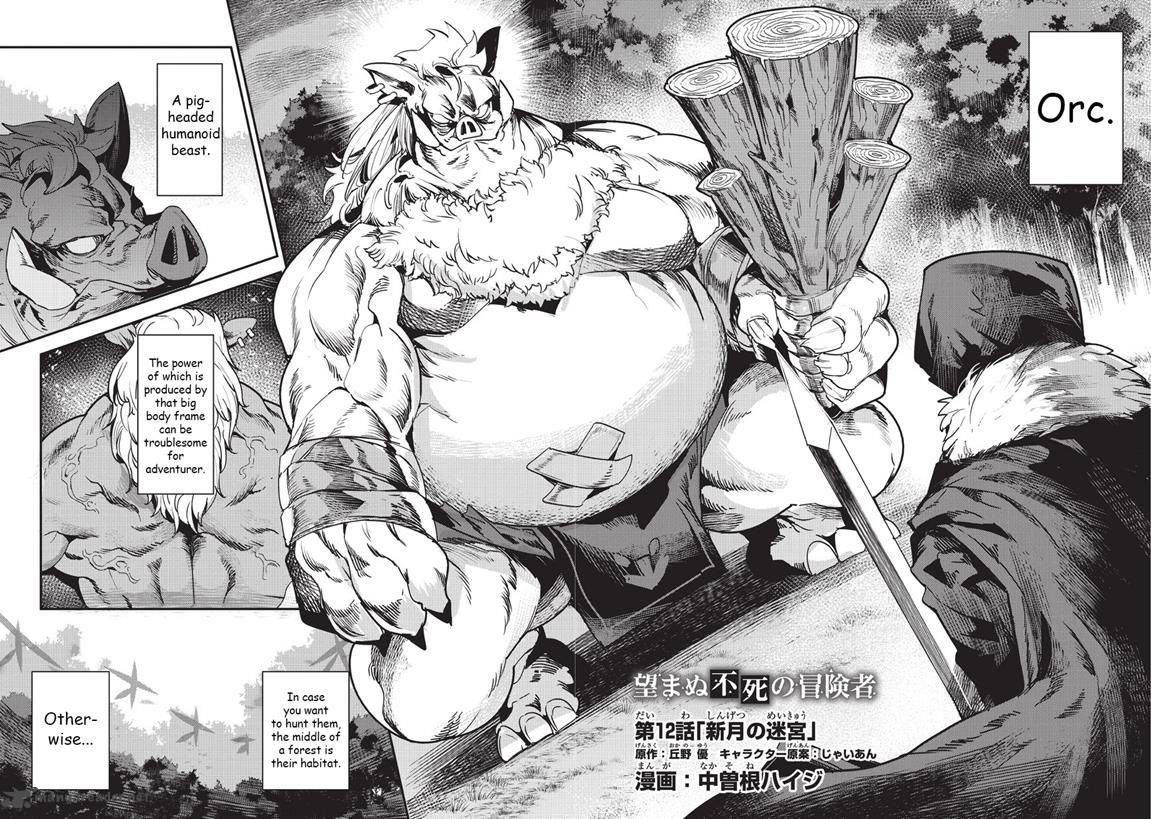 Nozomanu Fushi No Boukensha 12 3
