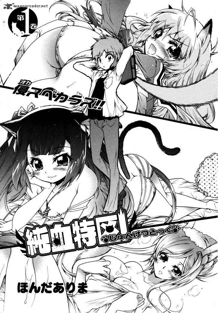 Okasu Bekarazu Junketsu Tokku 1 3