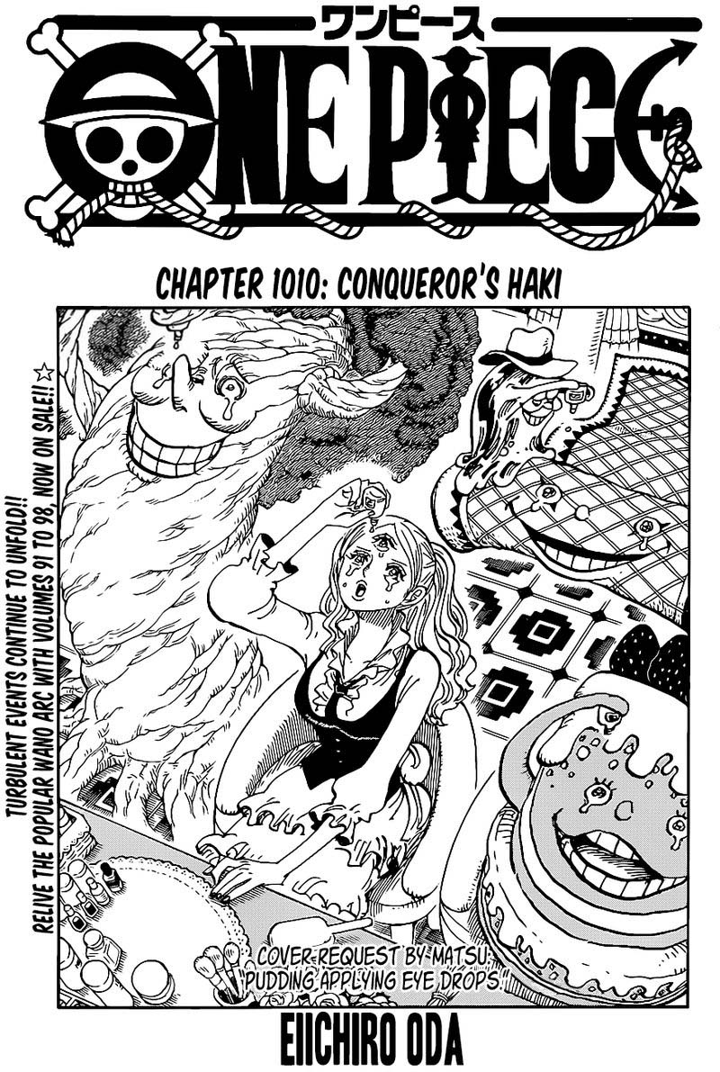 One Piece 1010 1