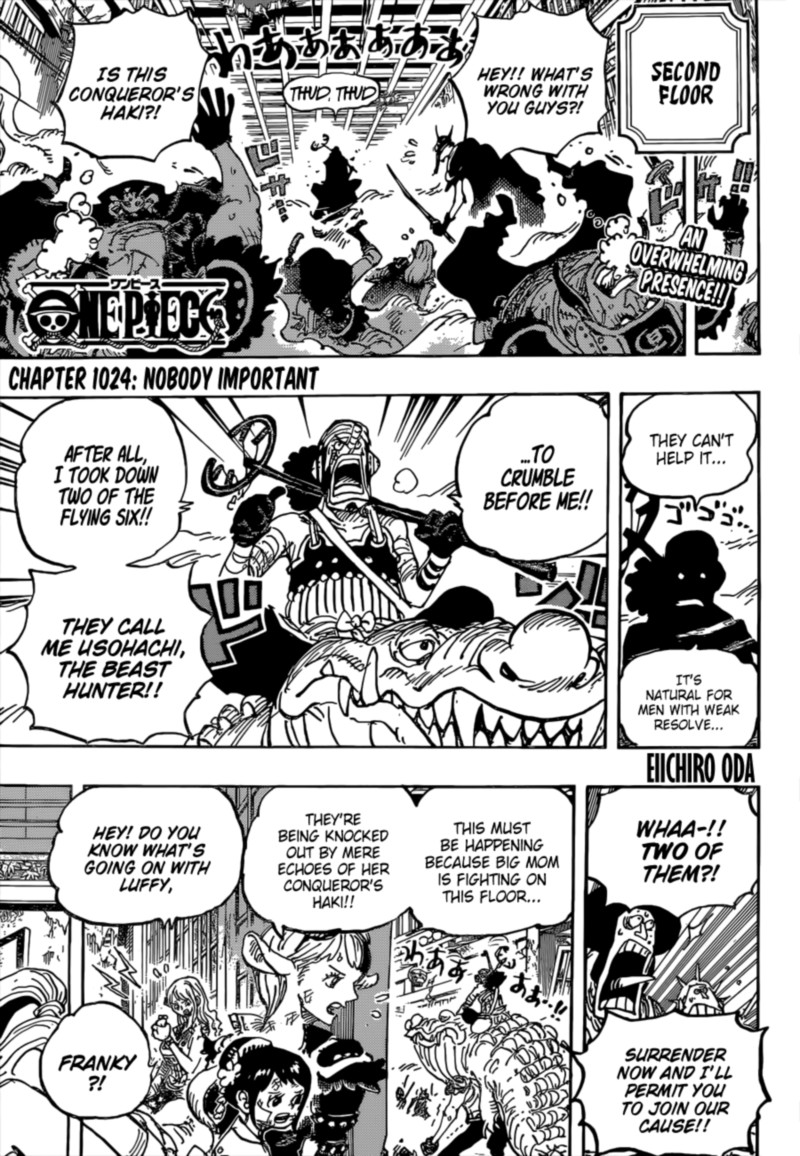 One Piece 1024 3