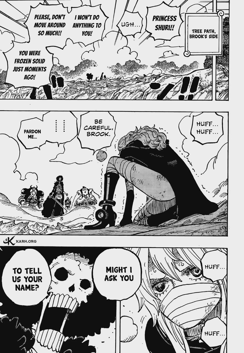 One Piece 1195 5