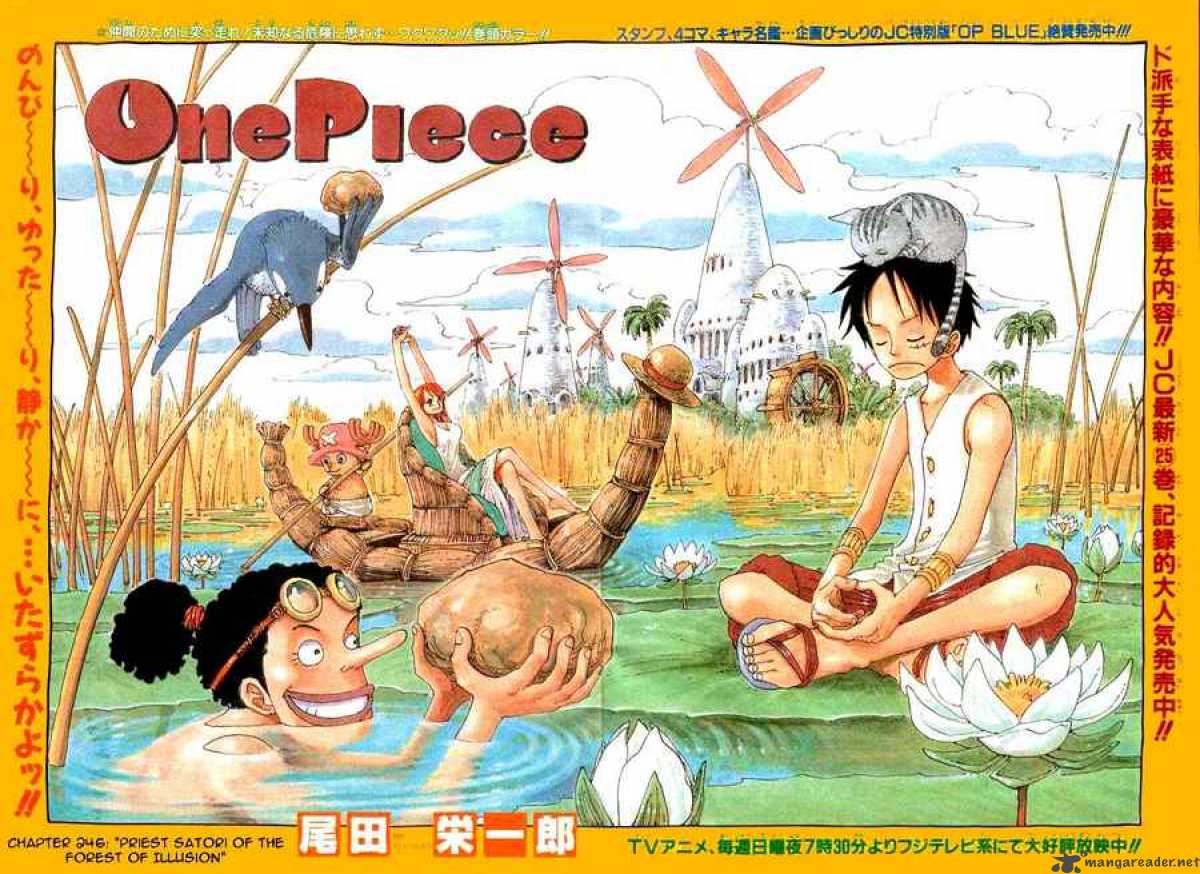One Piece 246 1