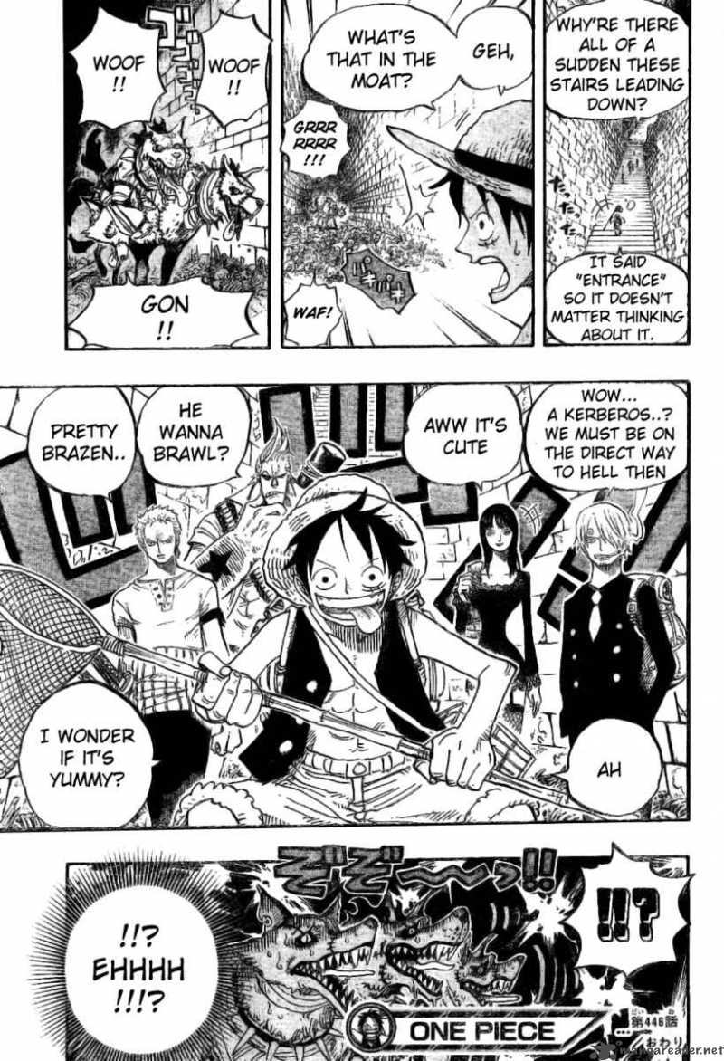 One Piece 446 18