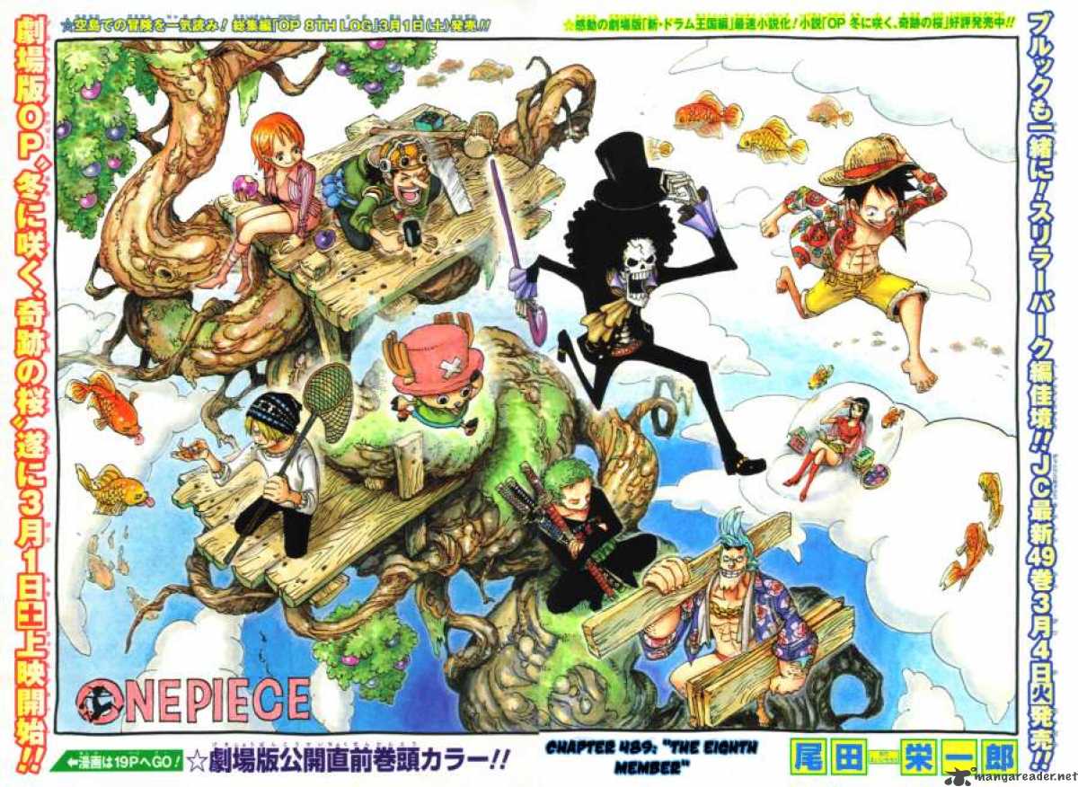 One Piece 489 1