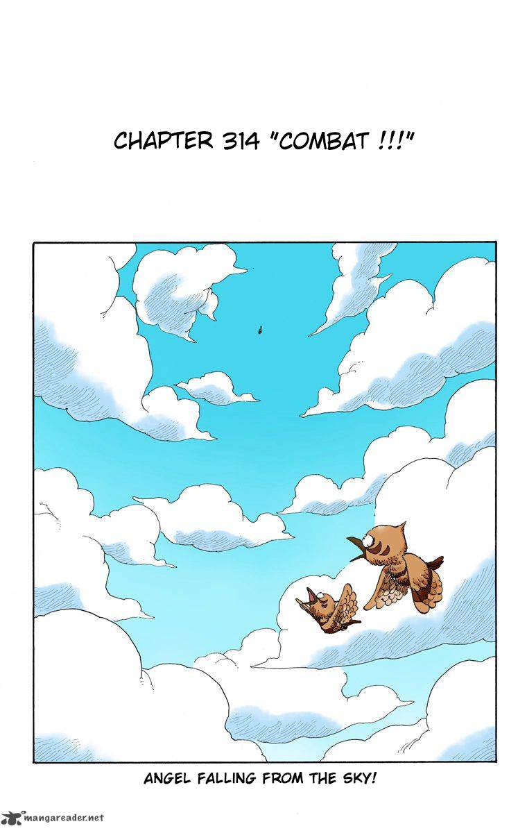 One Piece Colored 314 2
