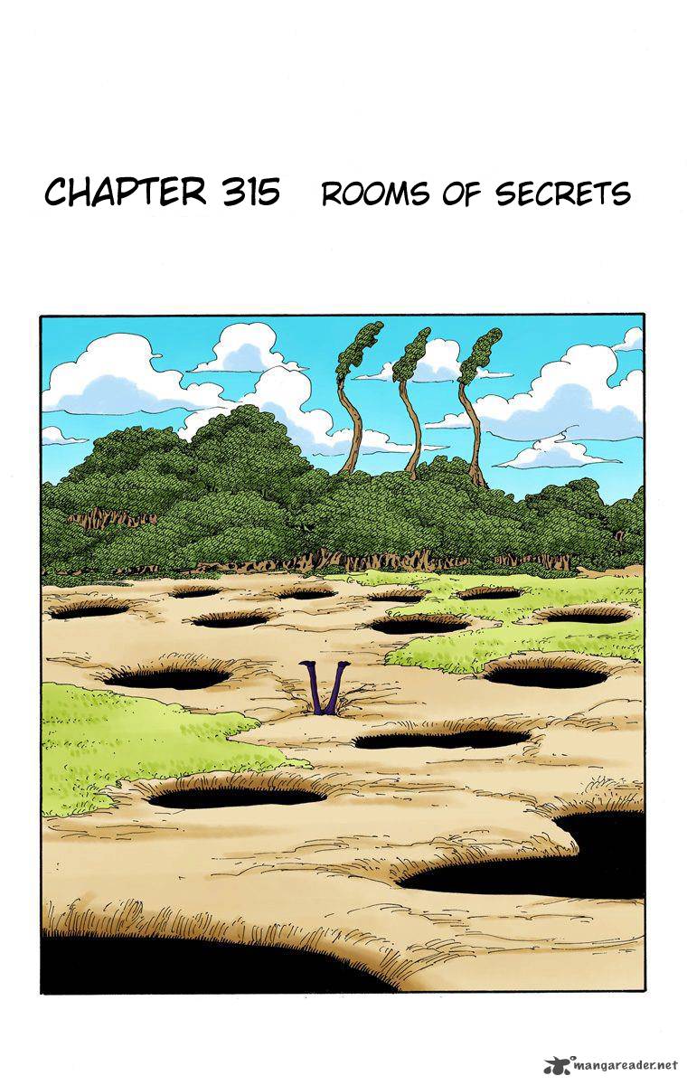 One Piece Colored 315 2