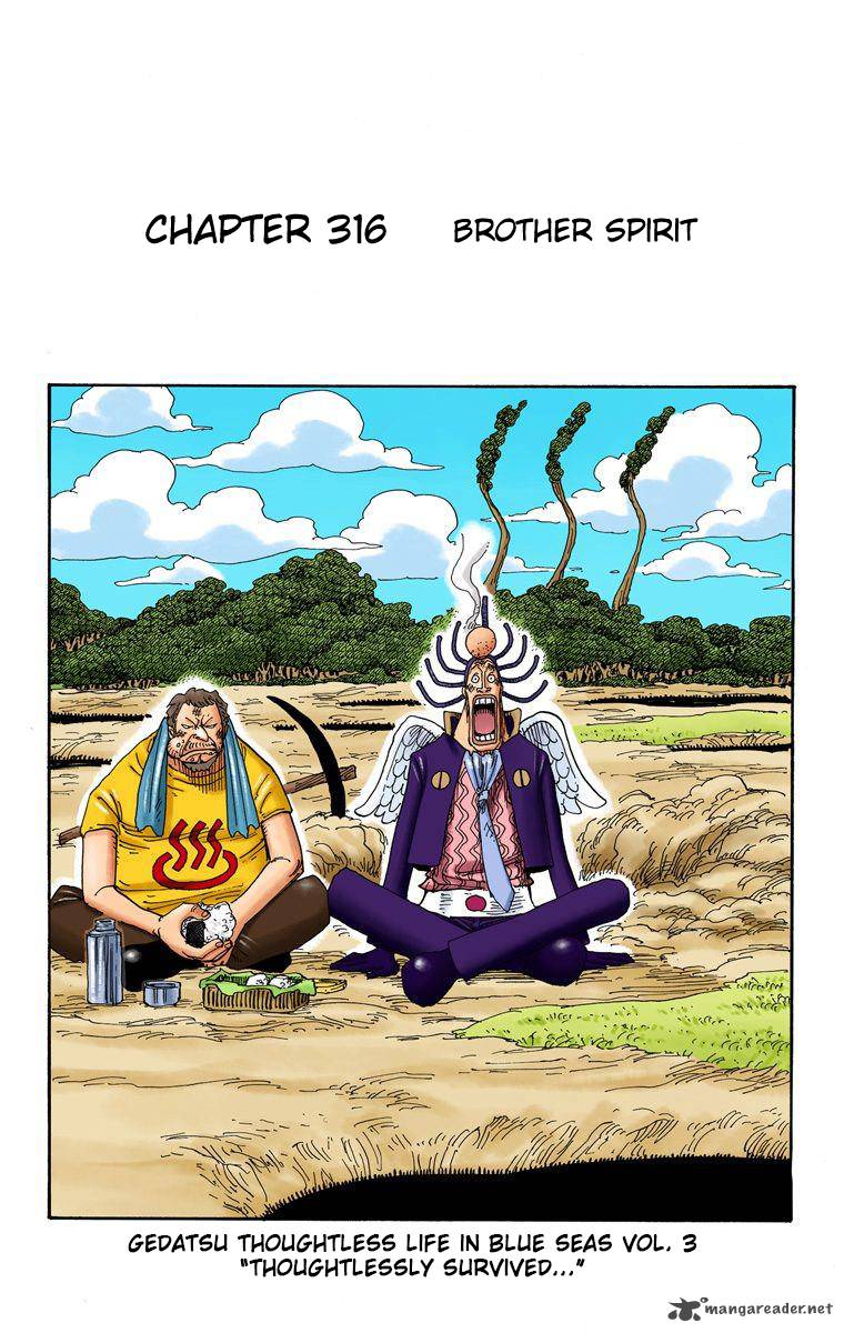 One Piece Colored 316 2