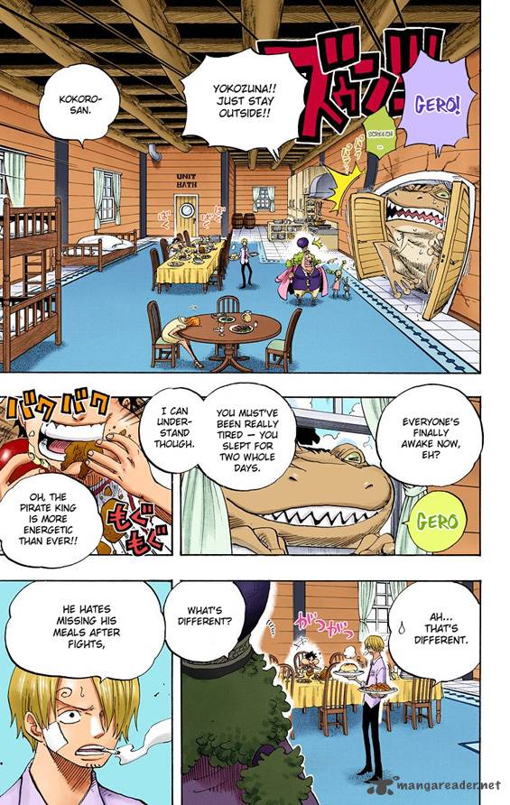 One Piece Colored 431 11