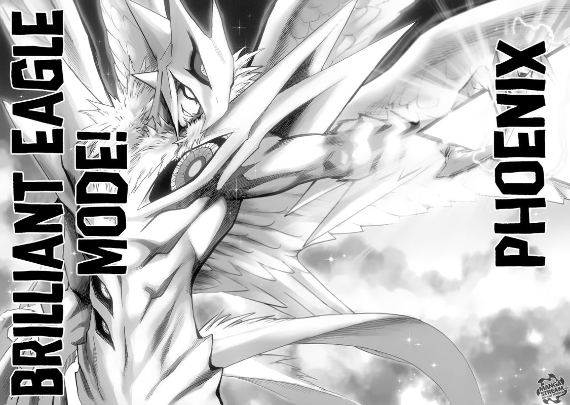 Onepunch Man 100 6