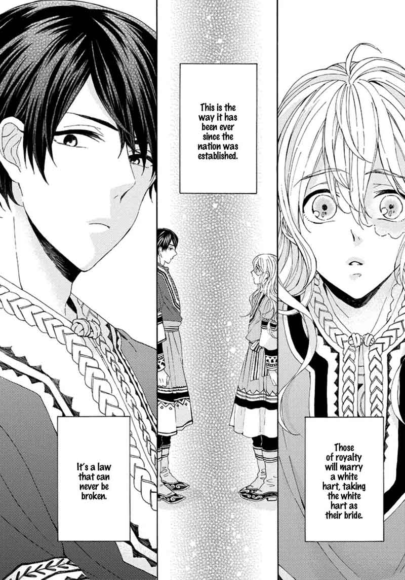 Ookami Wa Hana No Kaori 2 28