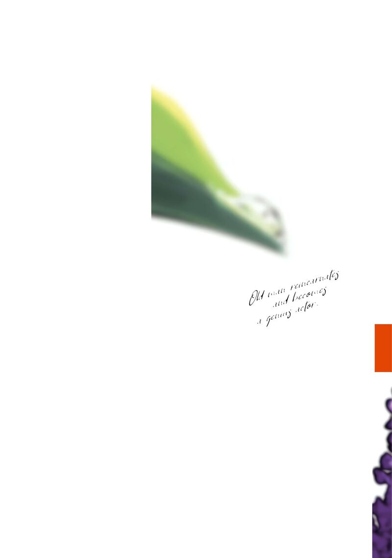 Ossan Tensei Shite Tensai Yakusha Ni Naru 17 2