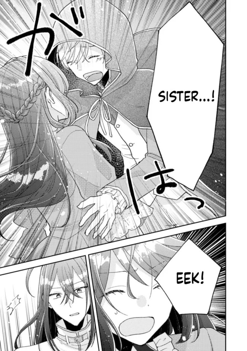 Ouji Sama Nante Kocchi Kara Negaisage Desu Wa Tsuihou Sareta Moto Akuyaku Reijou Mahou No Chikara De Mikaeshimasu 17 9