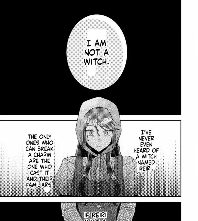 Oujisama Nante Kocchi Kara Negaisage Desu Wa Tsuihou Sareta Moto Akuyaku Reijou Mahou No Chikara De Mikaeshimasu 26 38