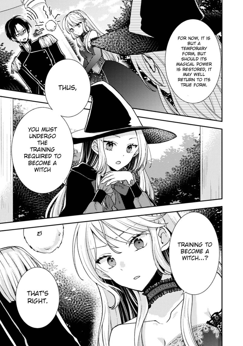 Oujisama Nante Kocchi Kara Negaisage Desu Wa Tsuihou Sareta Moto Akuyaku Reijou Mahou No Chikara De Mikaeshimasu 5 5