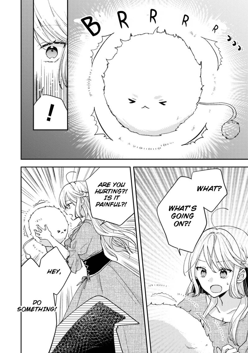 Oujisama Nante Kocchi Kara Negaisage Desu Wa Tsuihou Sareta Moto Akuyaku Reijou Mahou No Chikara De Mikaeshimasu 6 12