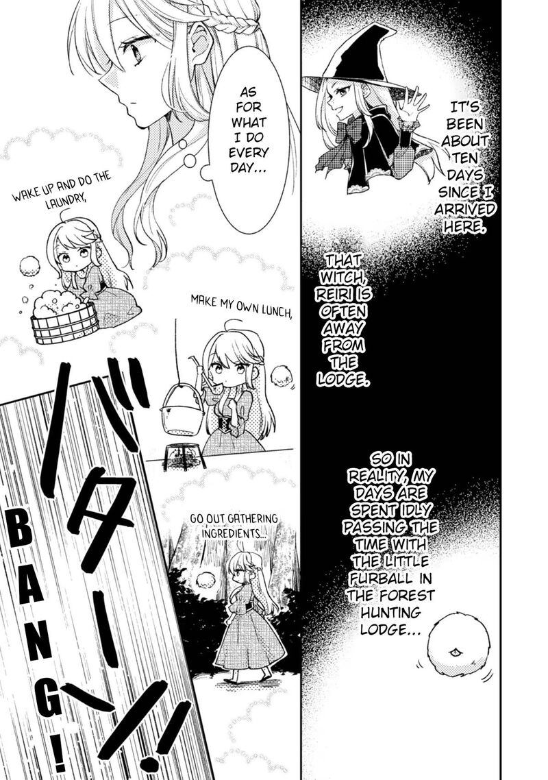 Oujisama Nante Kocchi Kara Negaisage Desu Wa Tsuihou Sareta Moto Akuyaku Reijou Mahou No Chikara De Mikaeshimasu 6 3