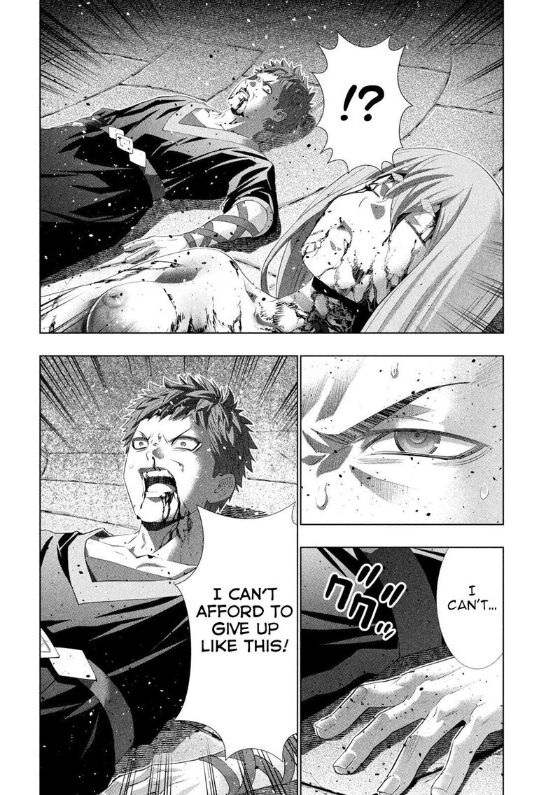 Parallel Paradise 325 14