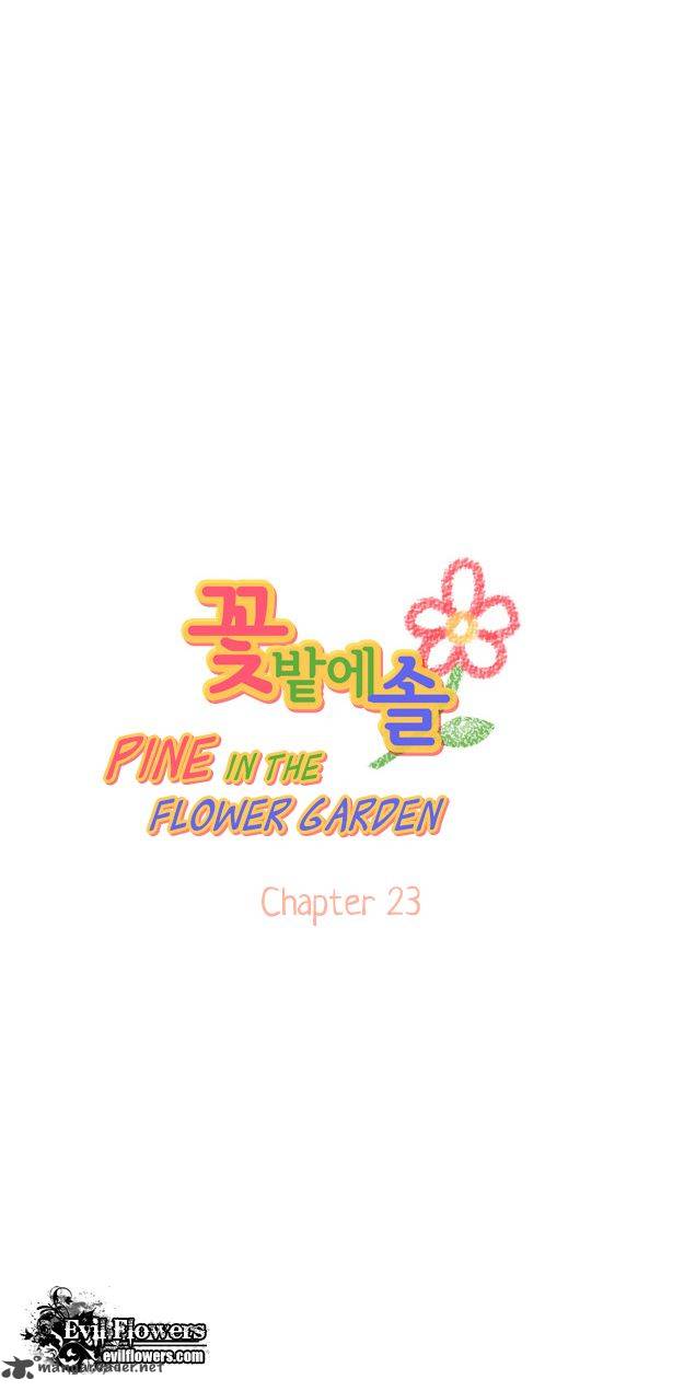 Pine In The Flower Garden 23 4