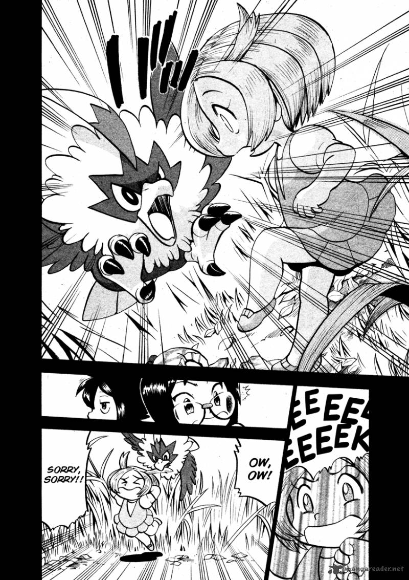 Pokemon Special Black White 15 19