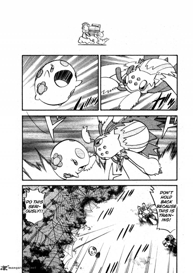 Pokemon Special Black White 5 9