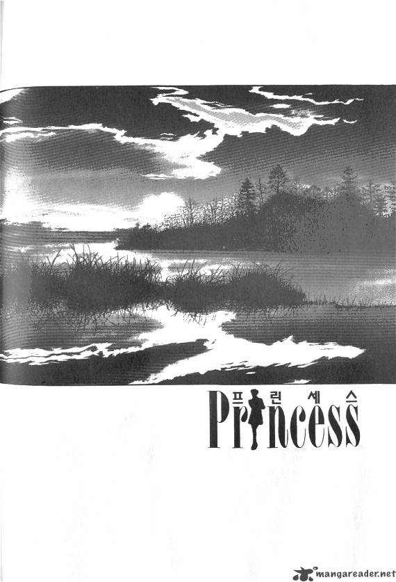 Princess 13 144