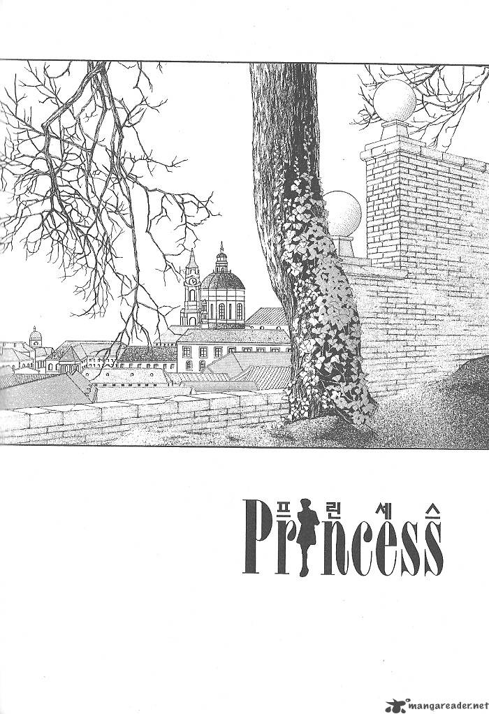 Princess 26 3