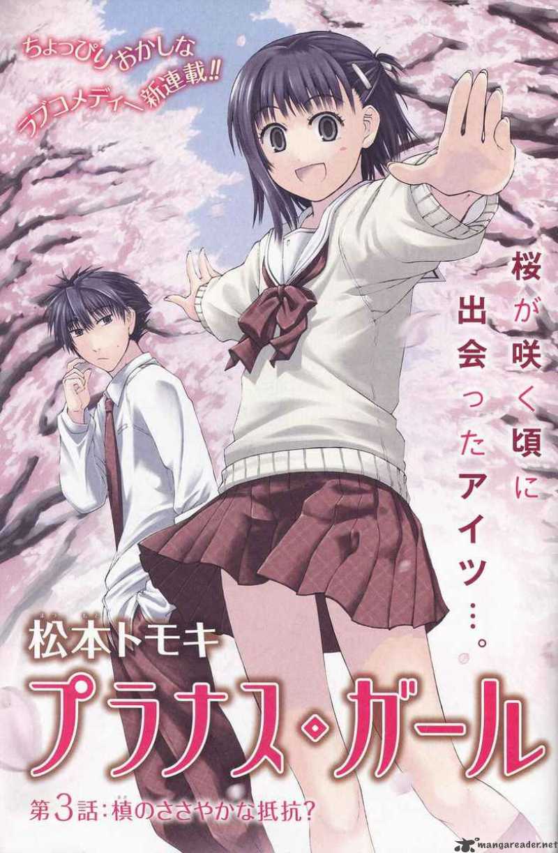 Prunus Girl 1 2