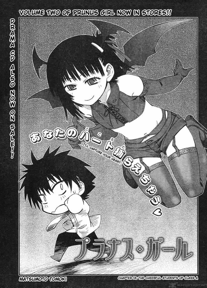 Prunus Girl 14 1