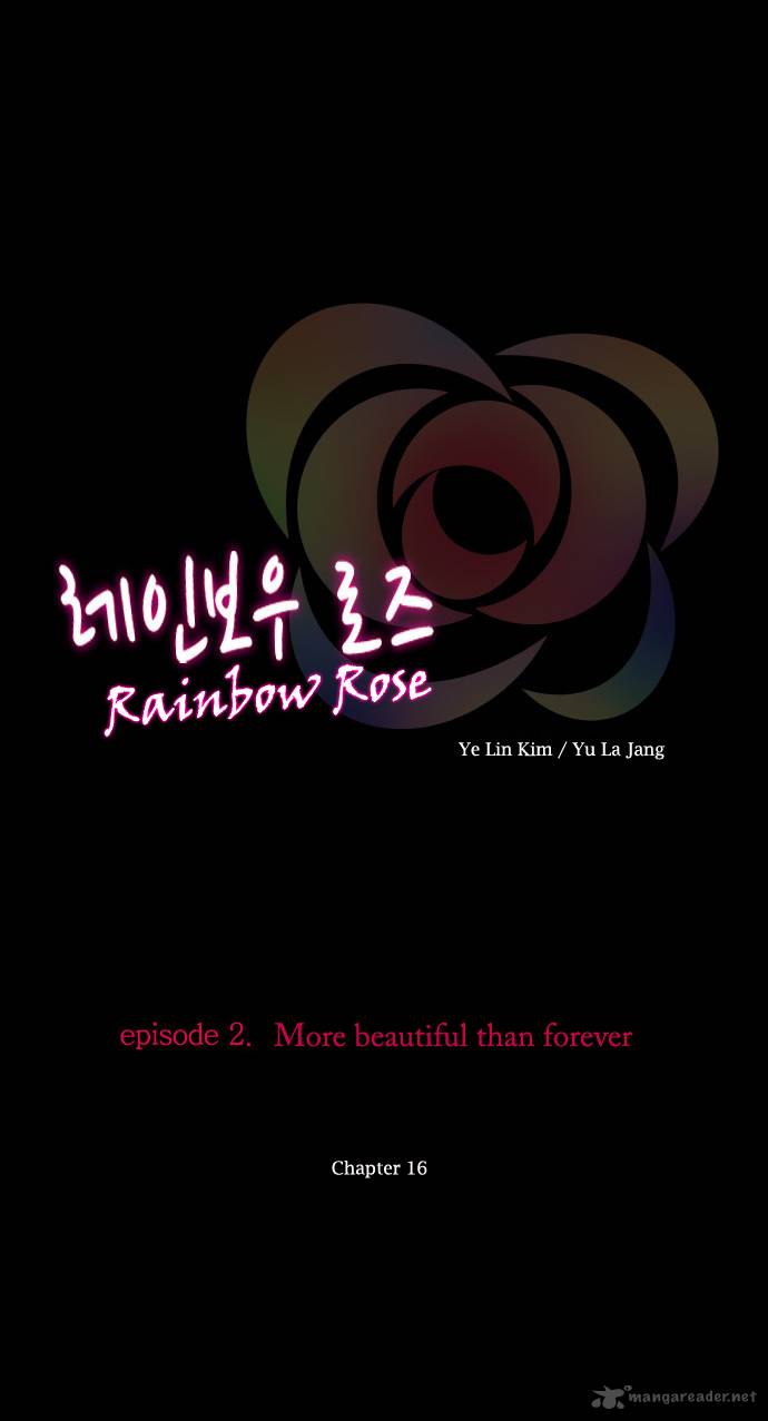 Rainbow Rose 16 3