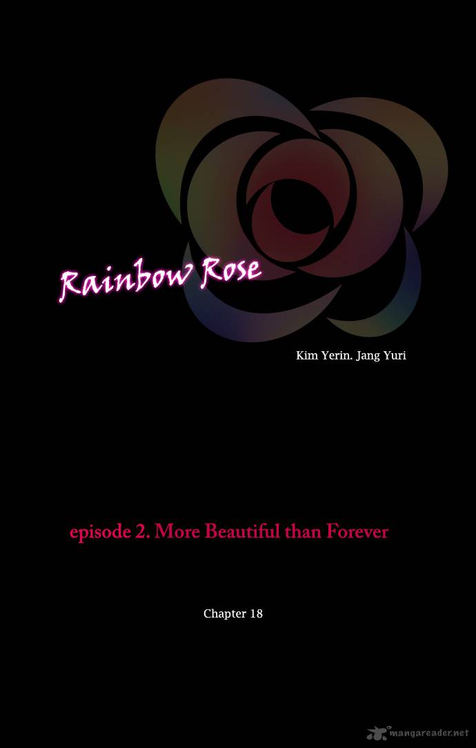 Rainbow Rose 18 8