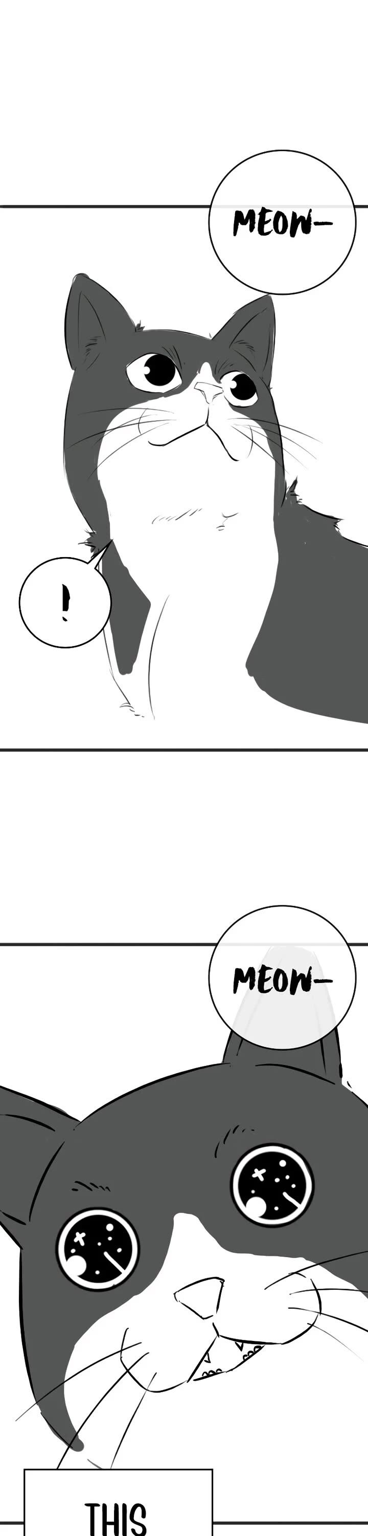 Reality Quest 164i 20