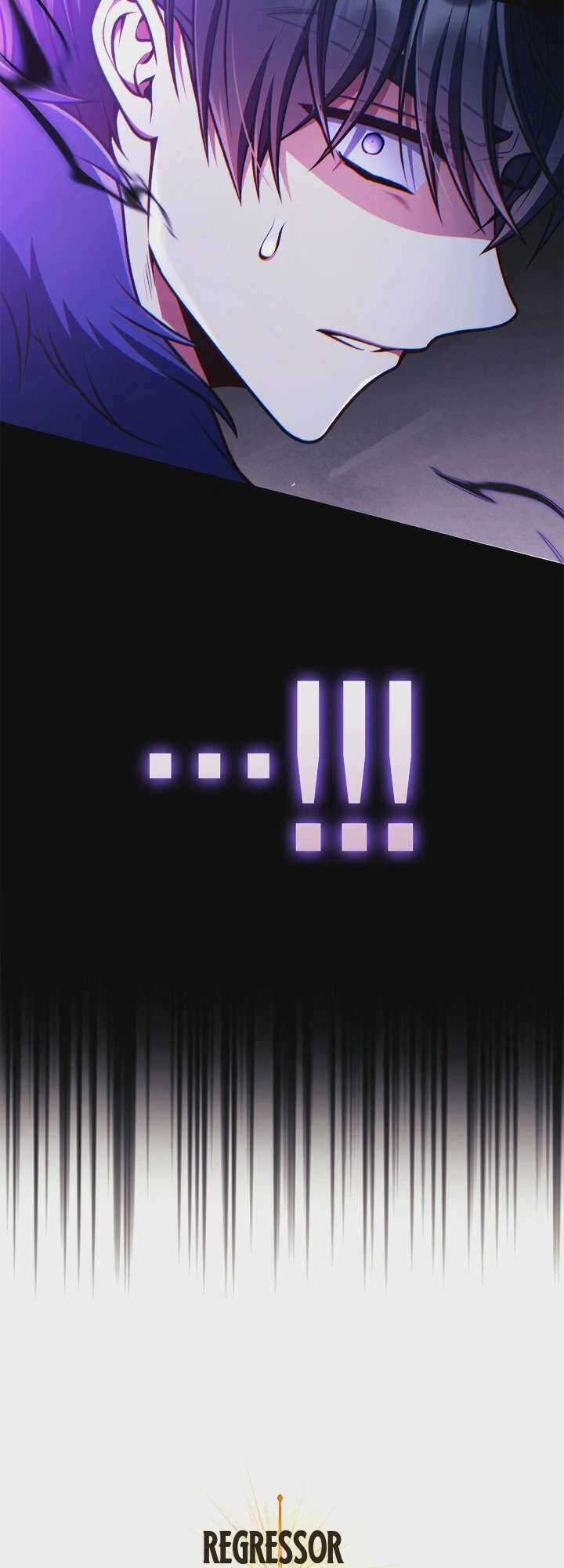 Regressor Instruction Manual 208 85