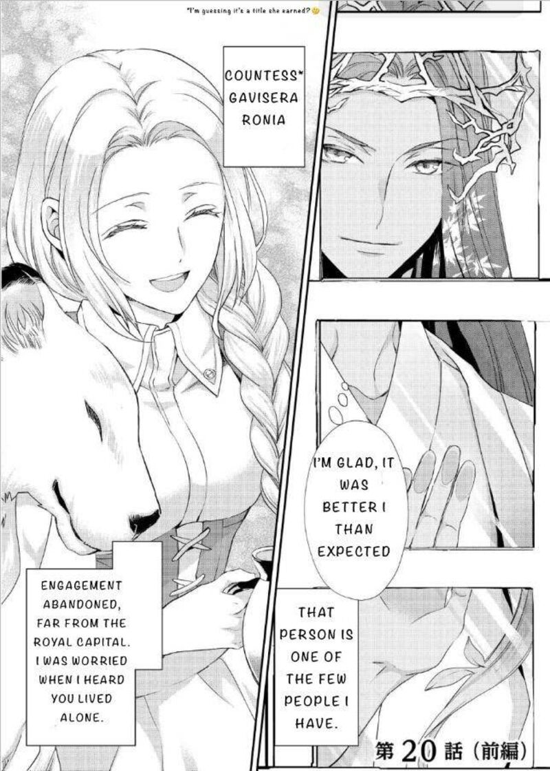 Reijou Wa Mattari Wo Goshomou 20 11
