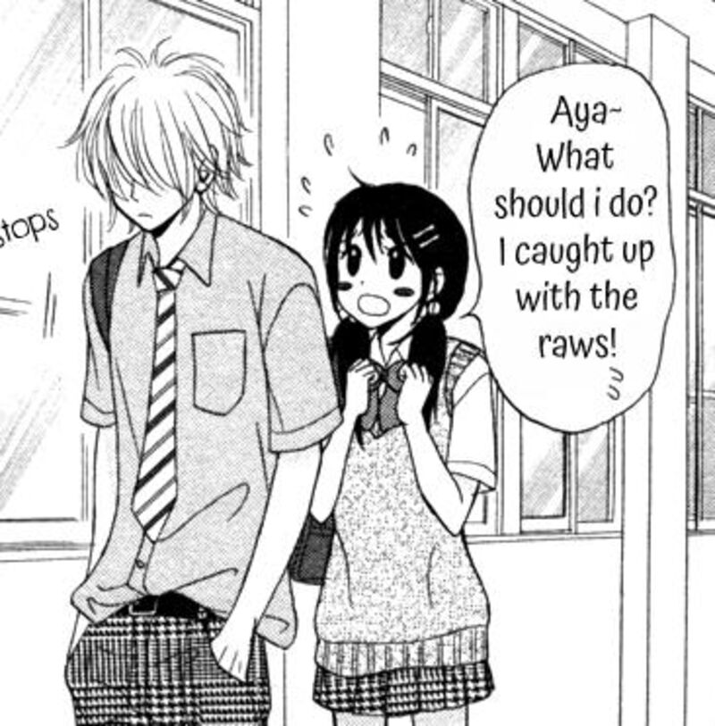 Reijou Wa Mattari Wo Goshomou 27 28