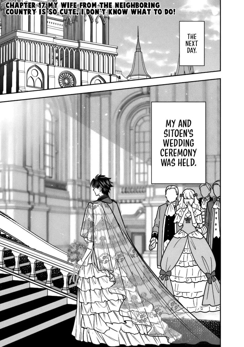 Rinkoku Kara Kita Yome Ga Kawaisugite Doushiyou 17 2