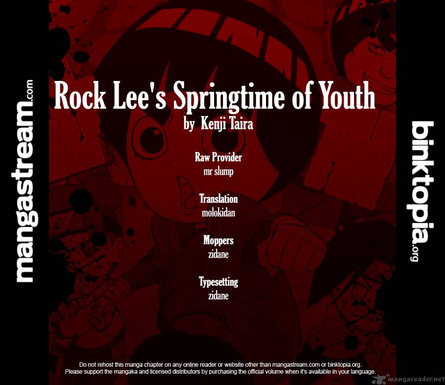 Rock Lees Springtime Of Youth 2 2